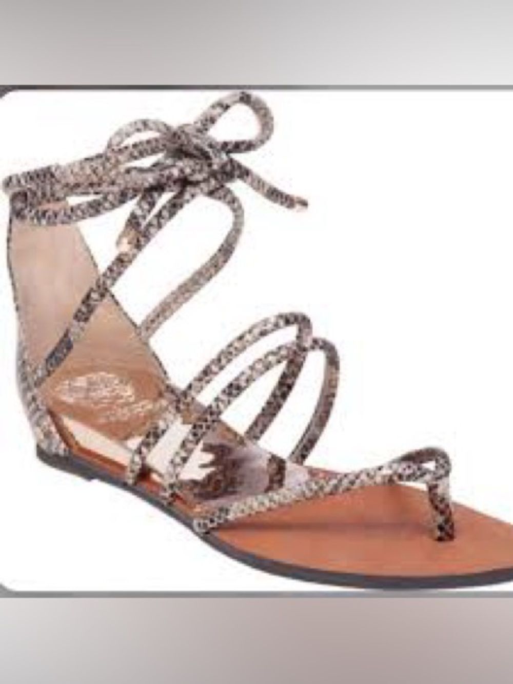 Vince Camuto Adalson Lace-Up Snake Print Gladiator Sandal - 10B